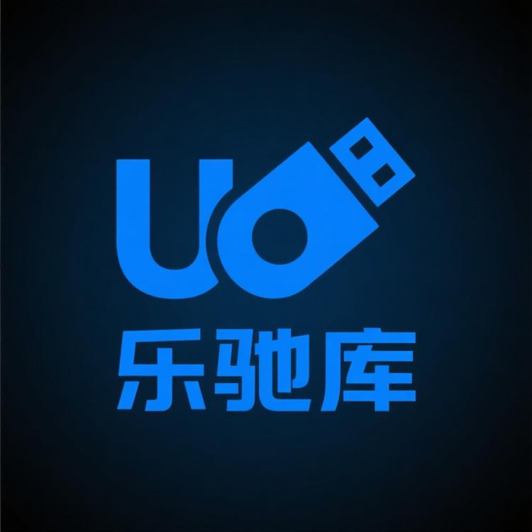 乐驰库车载U盘