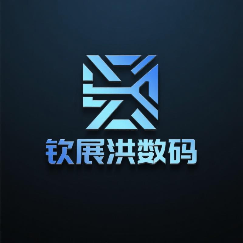 钦展洪数码