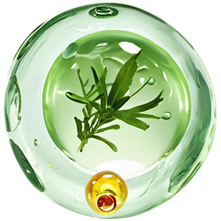 本草物语