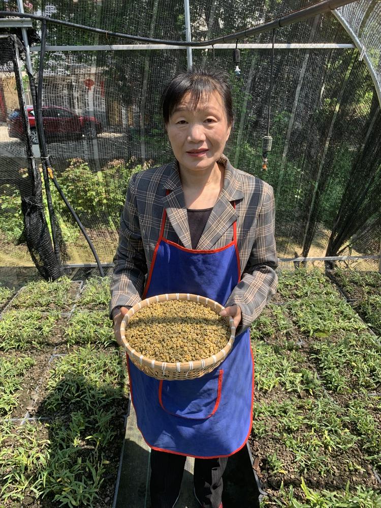 壹斛石生李员外中药材专卖店