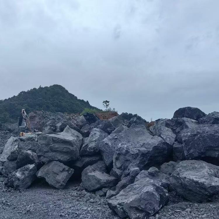 恩持园林黑山石