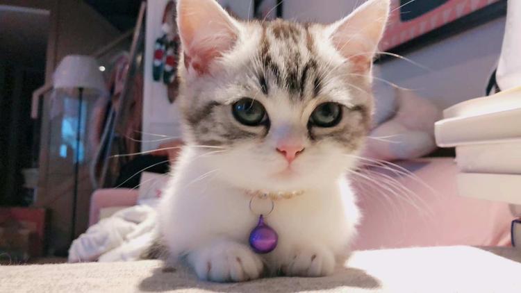 琨跃企业发展的小店