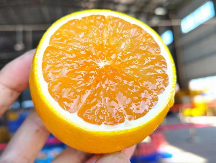 娟姐甜蜜小铺