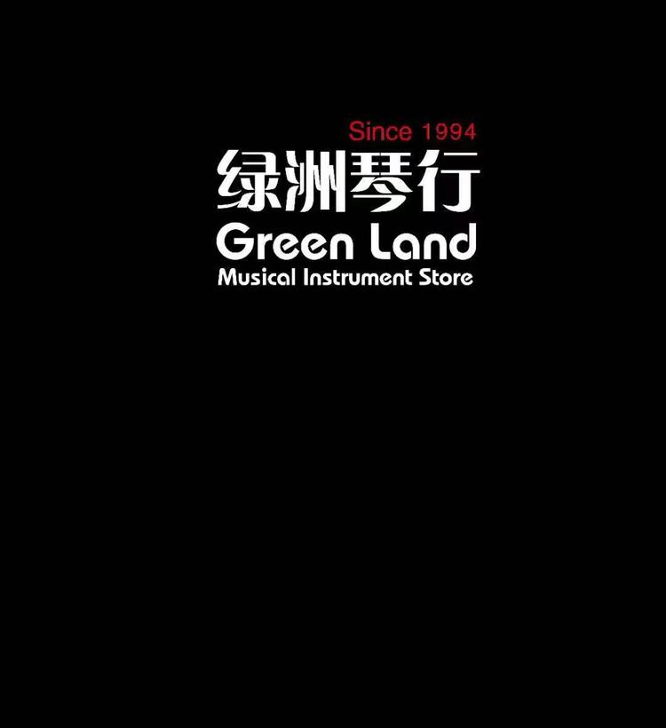 银川高新技术开发区老白绿洲琴行的小店个体店