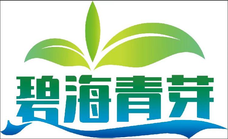 日照碧海青芽茶厂