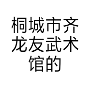 桐城市齐龙友武术馆的小店