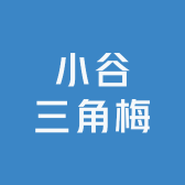 小谷三角梅