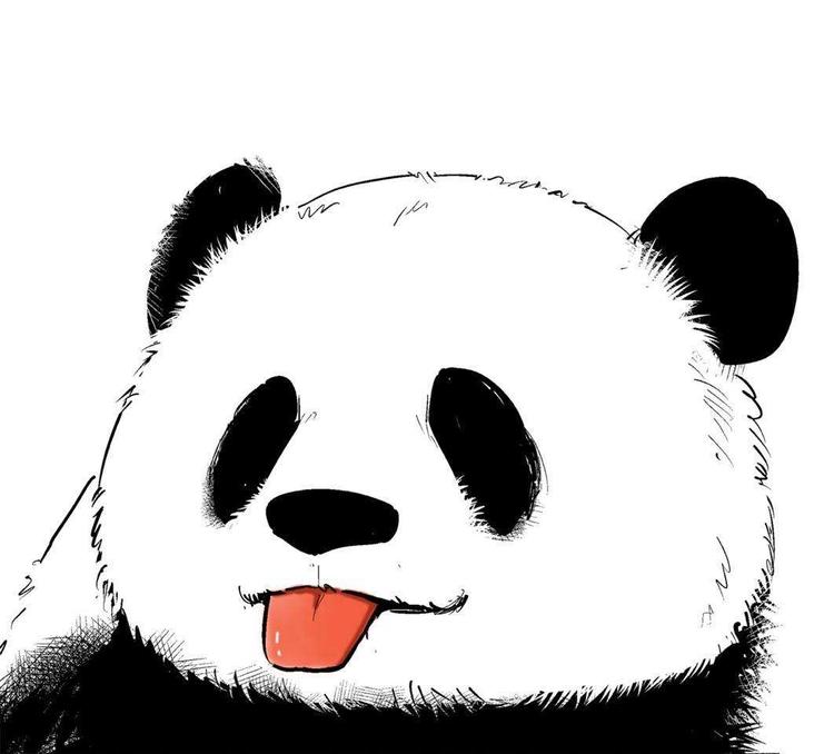 上海巴澳建筑室内设计有限公司淄博分公司的小店