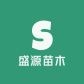 伯劳镇盛源苗木