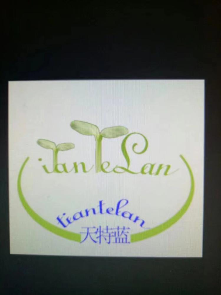 天特蓝鞋业企业店