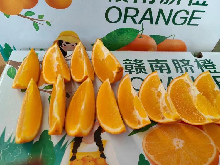 赣南脐橙逸凡小屋