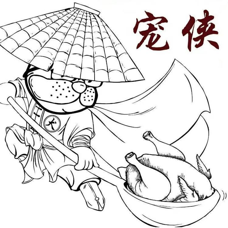 河南宠侠网络科技有限公司