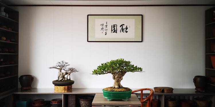 融园盆景工作室