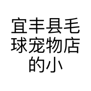 宜丰县毛球宠物店的小店