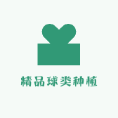 精品球类种植基地