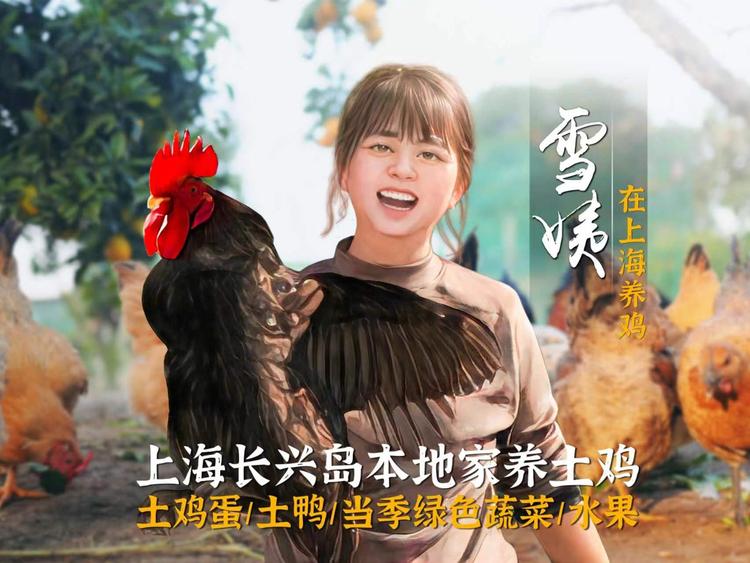 雪姨在上海养鸡