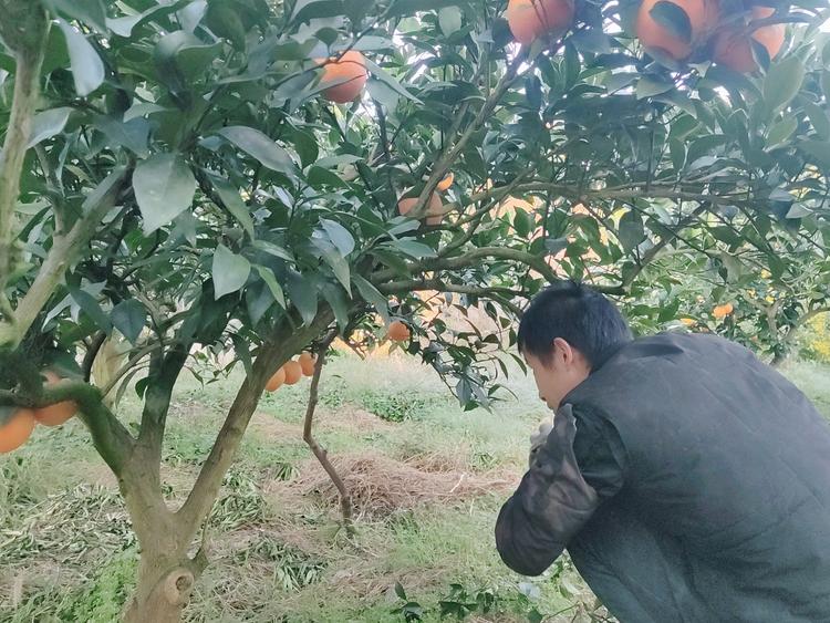 新宁县快乐丘比童装店的小店