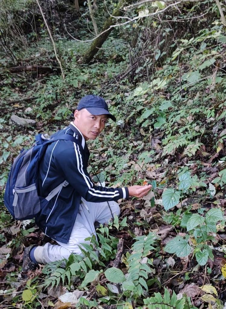 杰哥农品山货坊