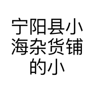 宁阳县小海杂货铺的小店