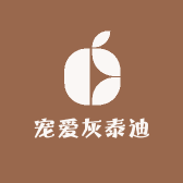 宠爱灰泰迪