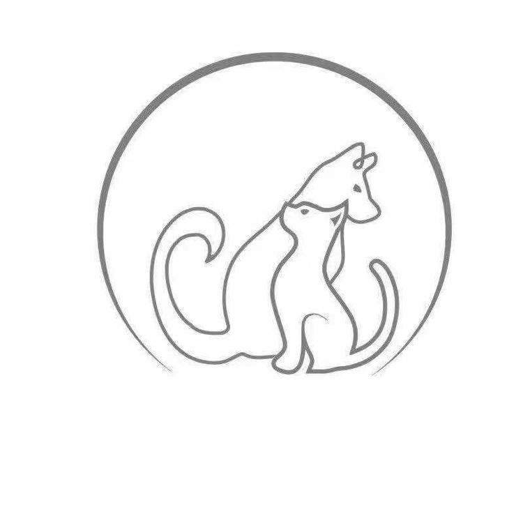 上海市浦东新区康桥镇唐嘉静宠物店的小店