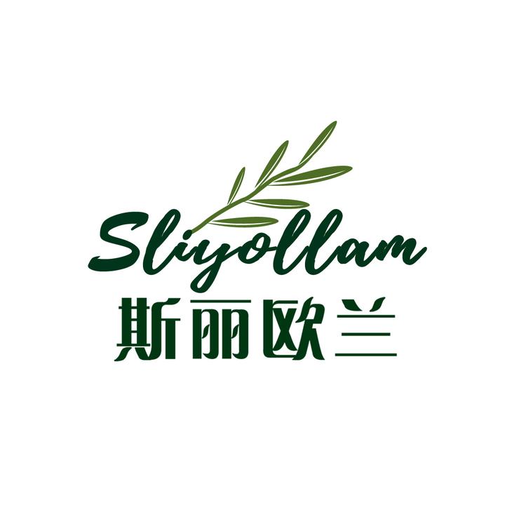 斯丽欧兰企业店