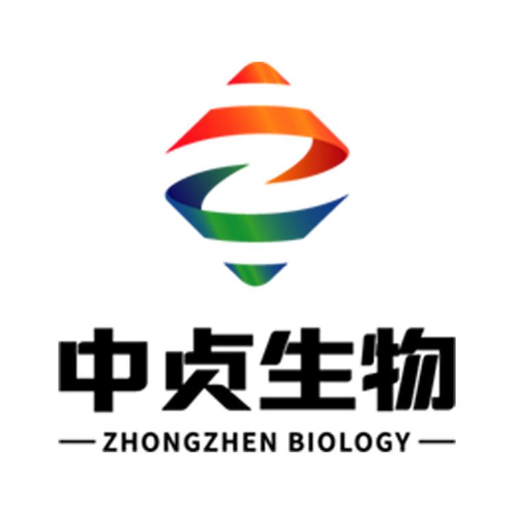 中贞健康科技