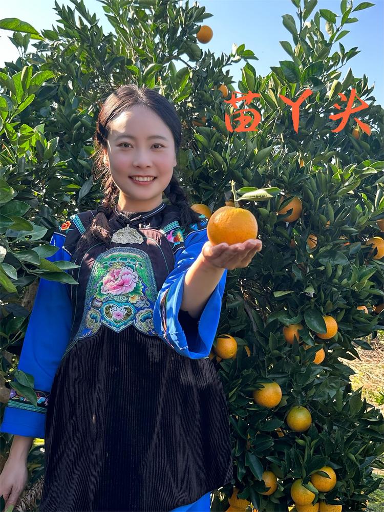 苗丫头娟子