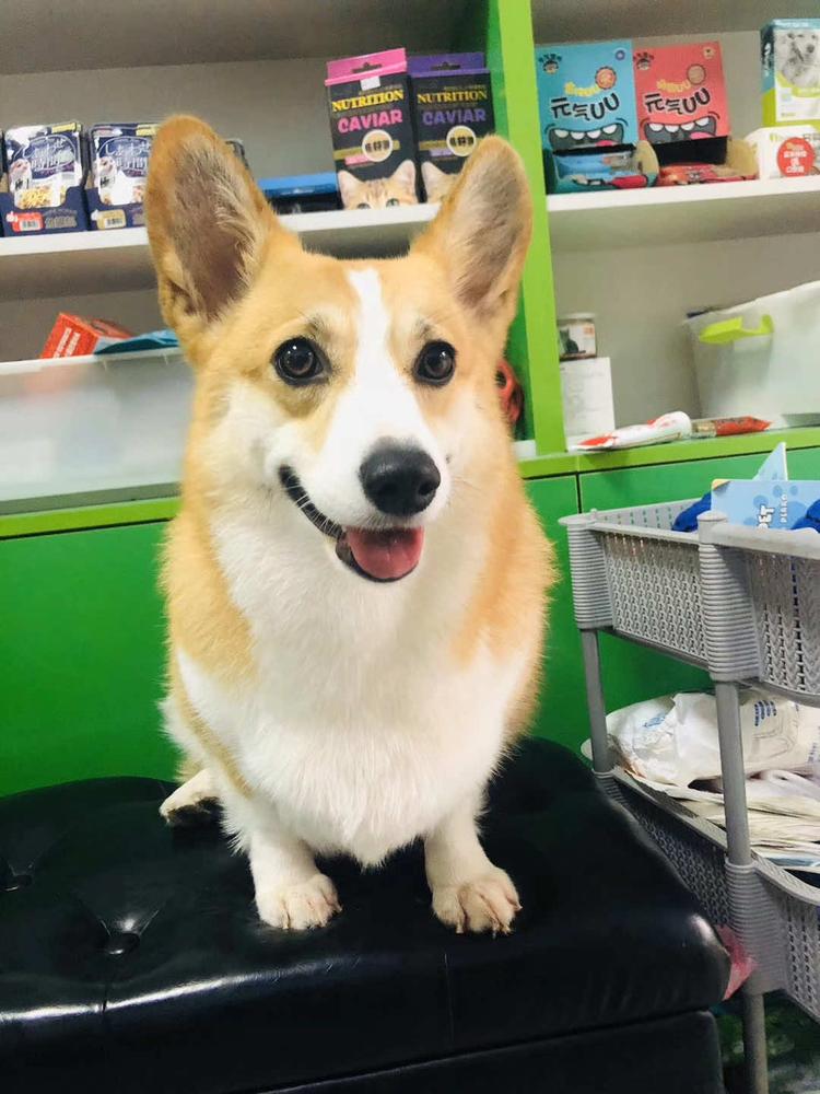 山东恒昌养殖有限公司的小店