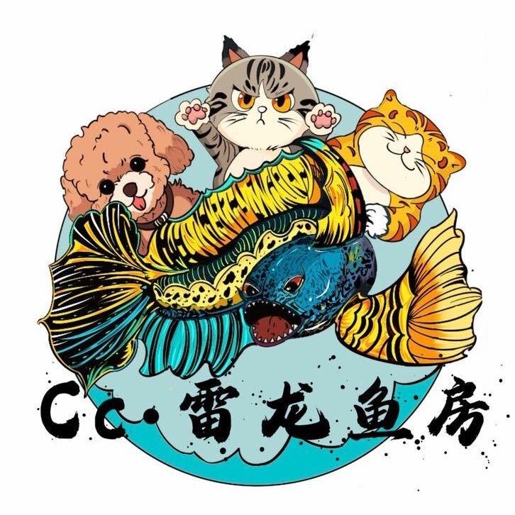 Cc雷龙鱼房
