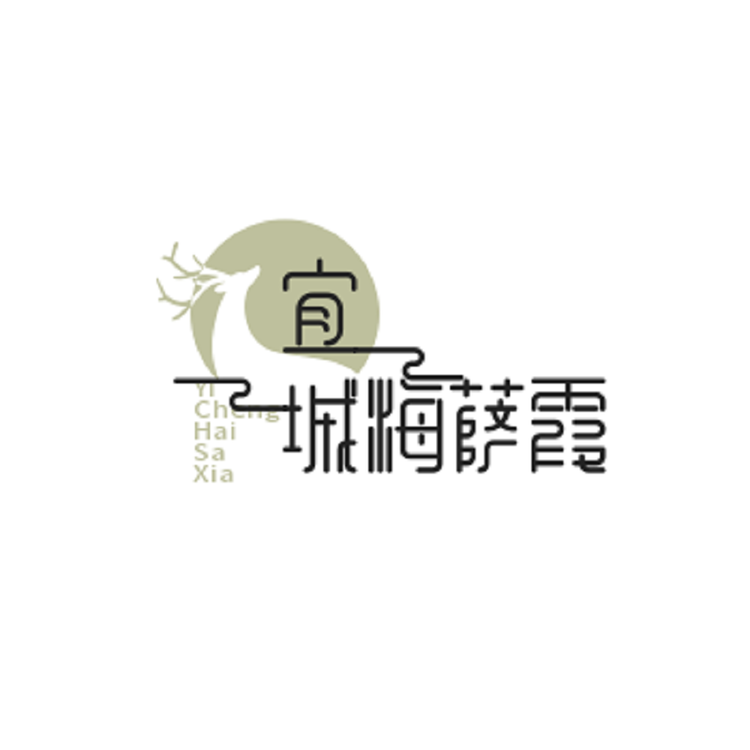 宜城海萨霞综合好物店