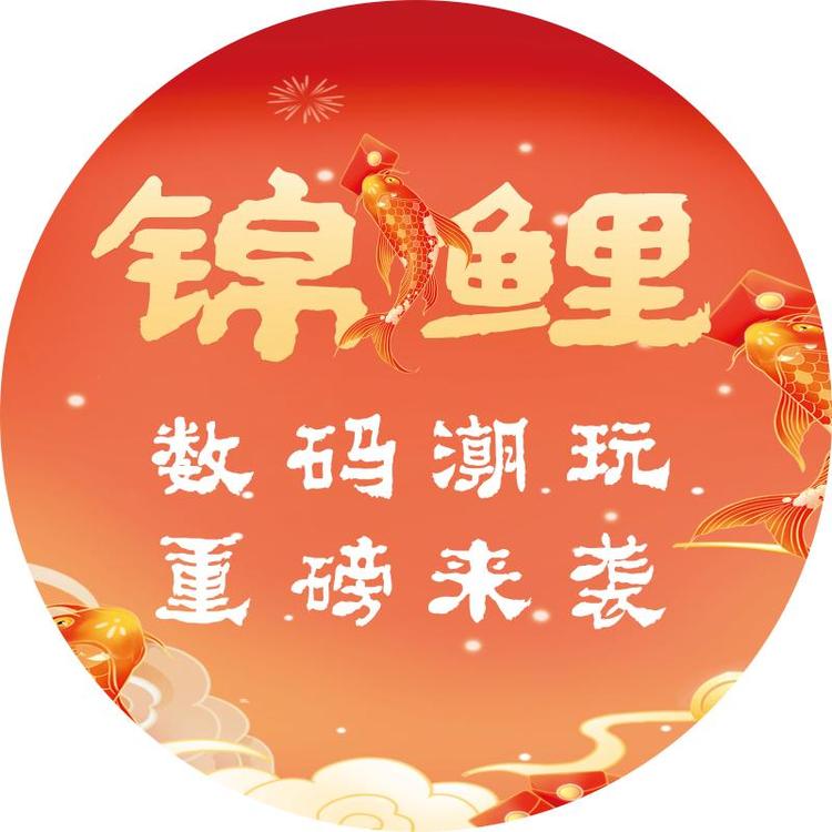 锦鲤数码潮玩2