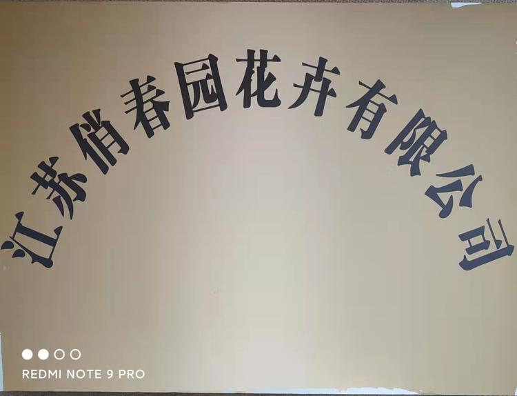 俏春园企业店