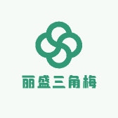 丽盛三角梅