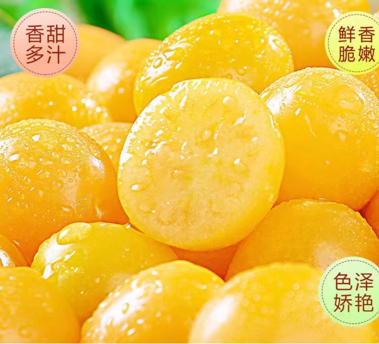 东北姑娘果批发
