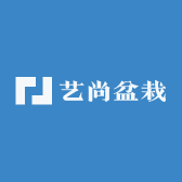 艺尚盆栽