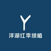 洋湖红季绿植