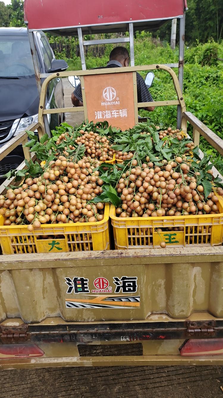 王壹壹生鲜水果
