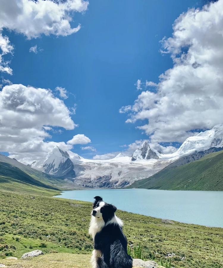 说走就走得旅行