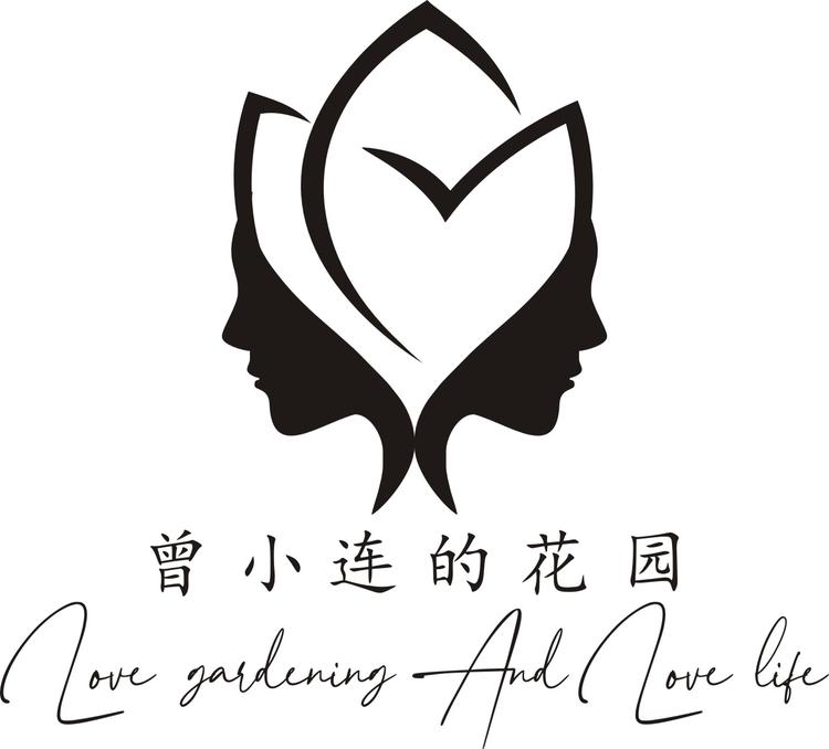 曾小连的花园