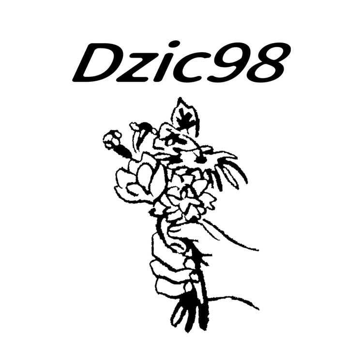 Dzic98 原KV
