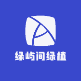 绿屿间绿植
