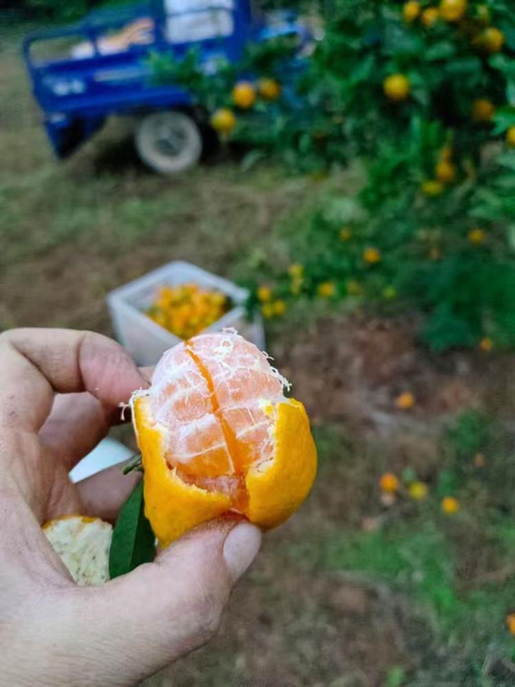 抚州的小文哥