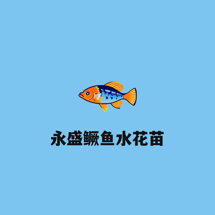 永盛鳜鱼水花苗
