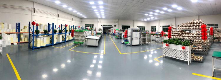 娜娜轻奢女鞋工厂个体店