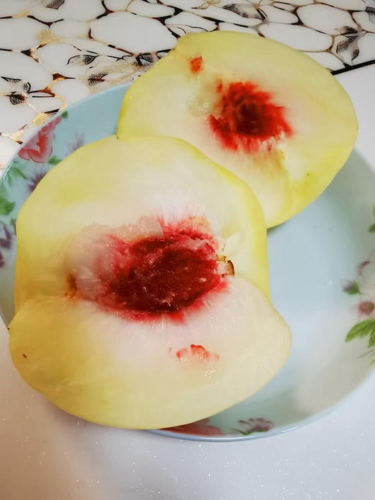 鹏里的小铺子