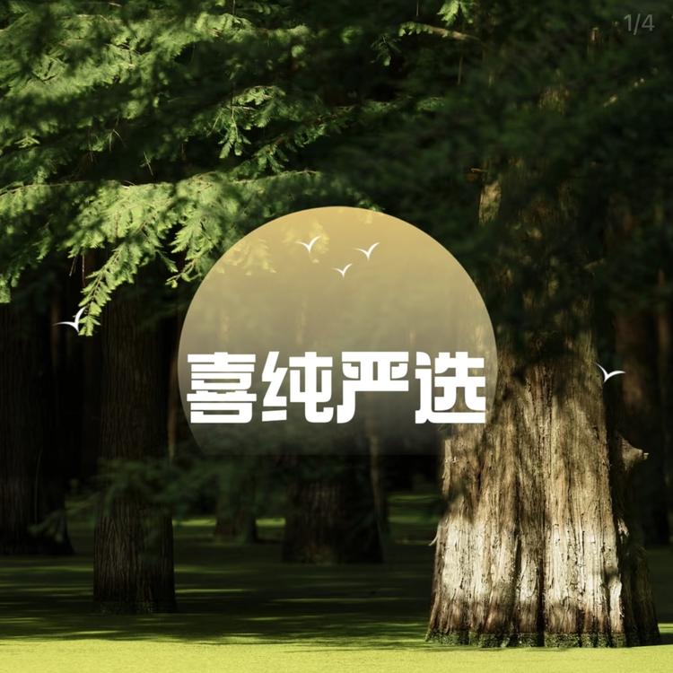 喜纯严选