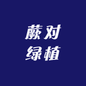 蕨对绿植