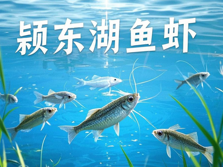 康哥小商铺