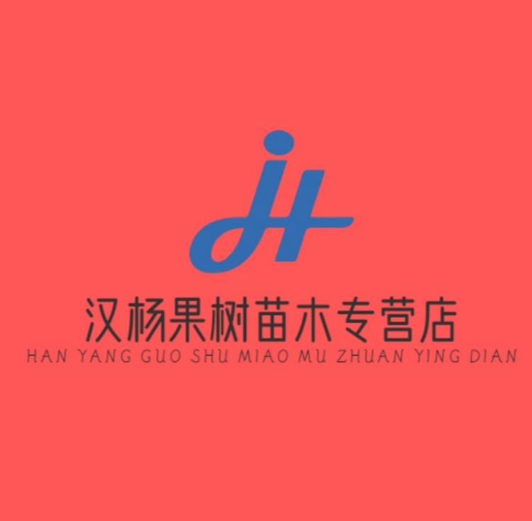 汉杨果树苗木专营店